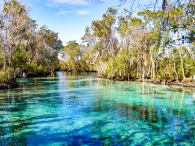 Dive into Paradise: Exploring Florida’s Springs – Your Ultimate Adventure